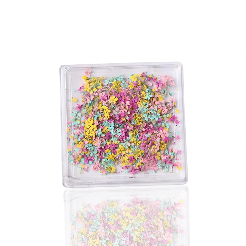 Petal Whispers – Real Dried Flowers for Nails