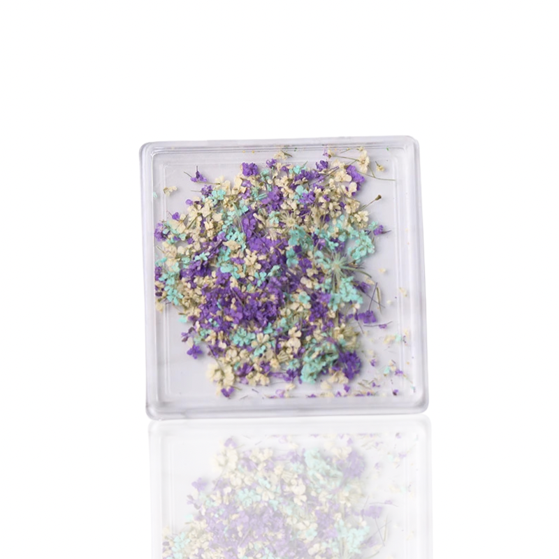 Petal Whispers – Real Dried Flowers for Nails