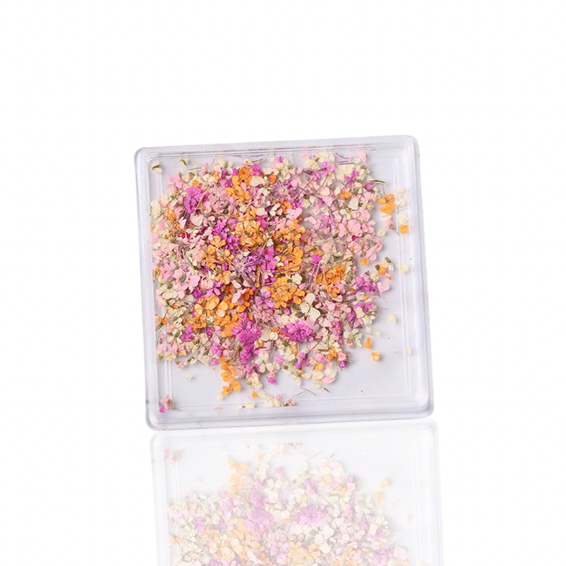 Petal Whispers – Real Dried Flowers for Nails