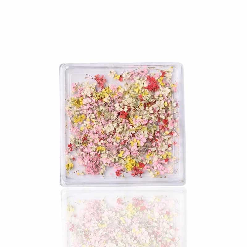 Petal Whispers – Real Dried Flowers for Nails