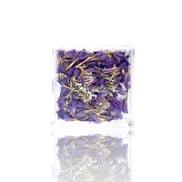 Petal Whispers – Real Dried Flowers for Nails
