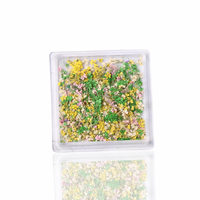 Petal Whispers – Real Dried Flowers for Nails