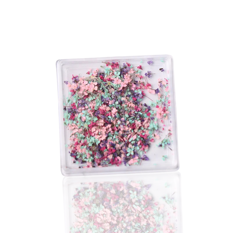 Petal Whispers – Real Dried Flowers for Nails
