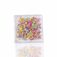 Petal Whispers – Real Dried Flowers for Nails