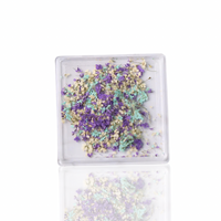 Petal Whispers – Real Dried Flowers for Nails