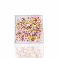Petal Whispers – Real Dried Flowers for Nails