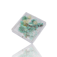 Petal Whispers – Real Dried Flowers for Nails