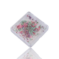 Petal Whispers – Real Dried Flowers for Nails
